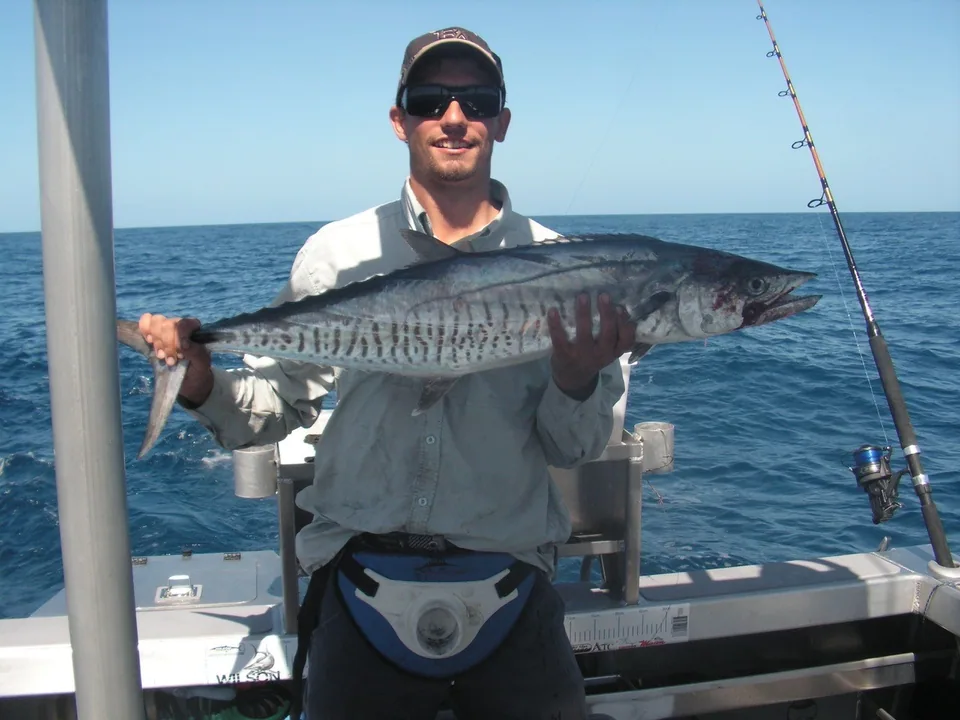 Angler holding a long silver fish with dark vertical markings