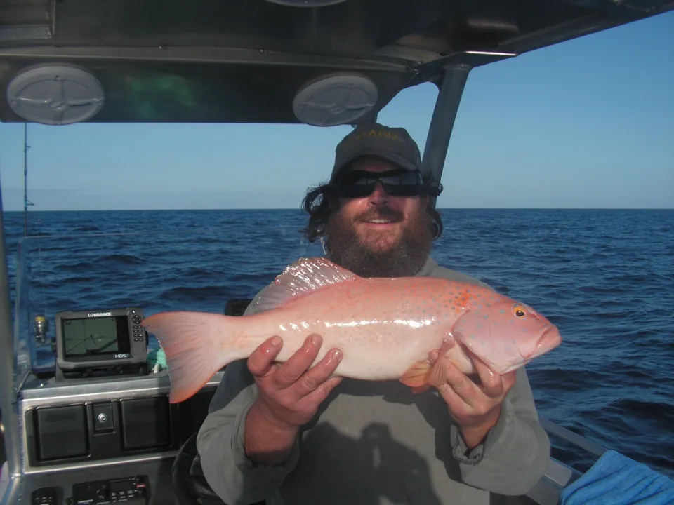 Angler holding a pink fish beneath a boat roof