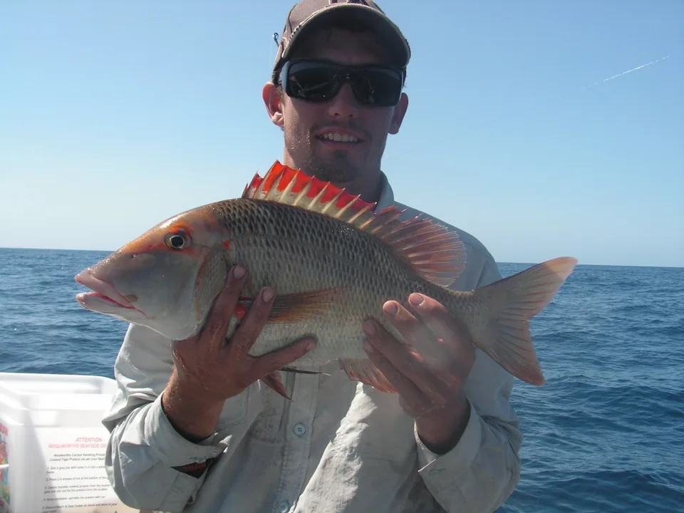 Angler displaying a fish with red fins and a silver body