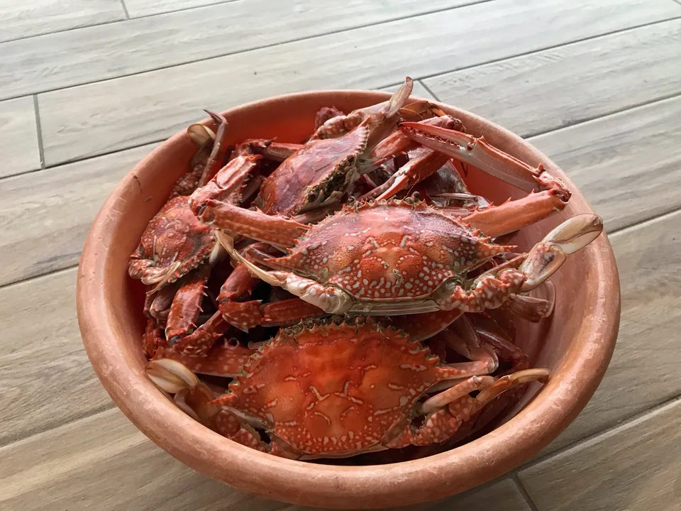 Bowl filled with cooked crabs on a timber table